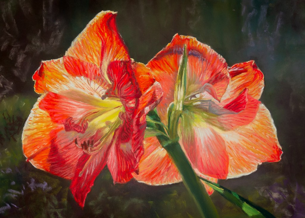 Painting of a sunlit Amaryllis flower