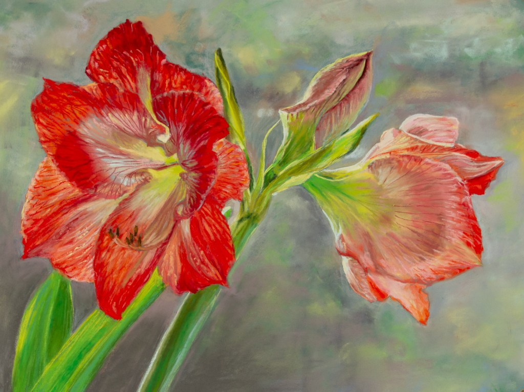 Painting of a sunlit Amaryllis flower