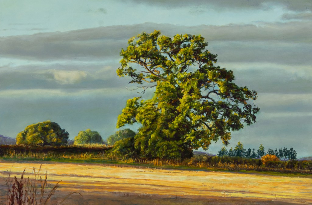 Painting of a oak tree in low sunlight