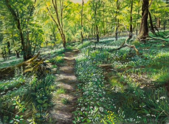 Painting of a pathway through woodland with wild garlic