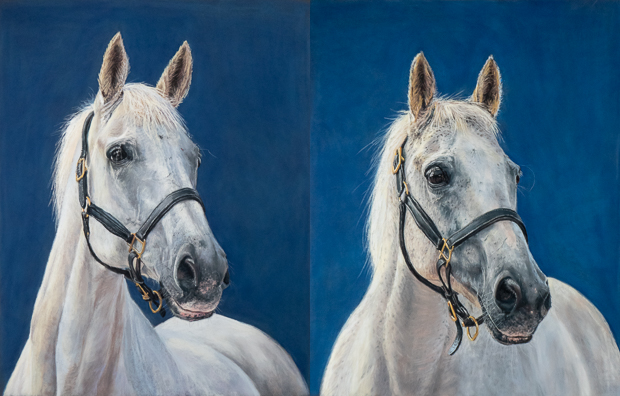 An inspiring commission