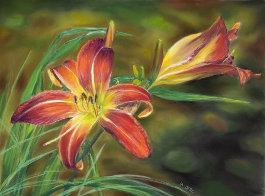 Painting of a day lily flower