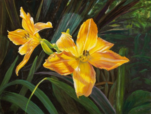 Pastel painting of a pair of yellow day lily flowers