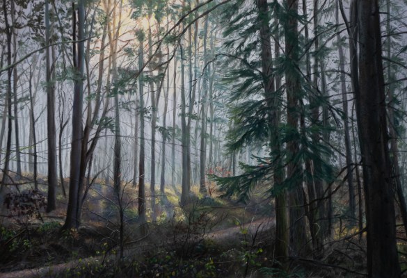 Painting of a woodland scene in winter with low sunlight