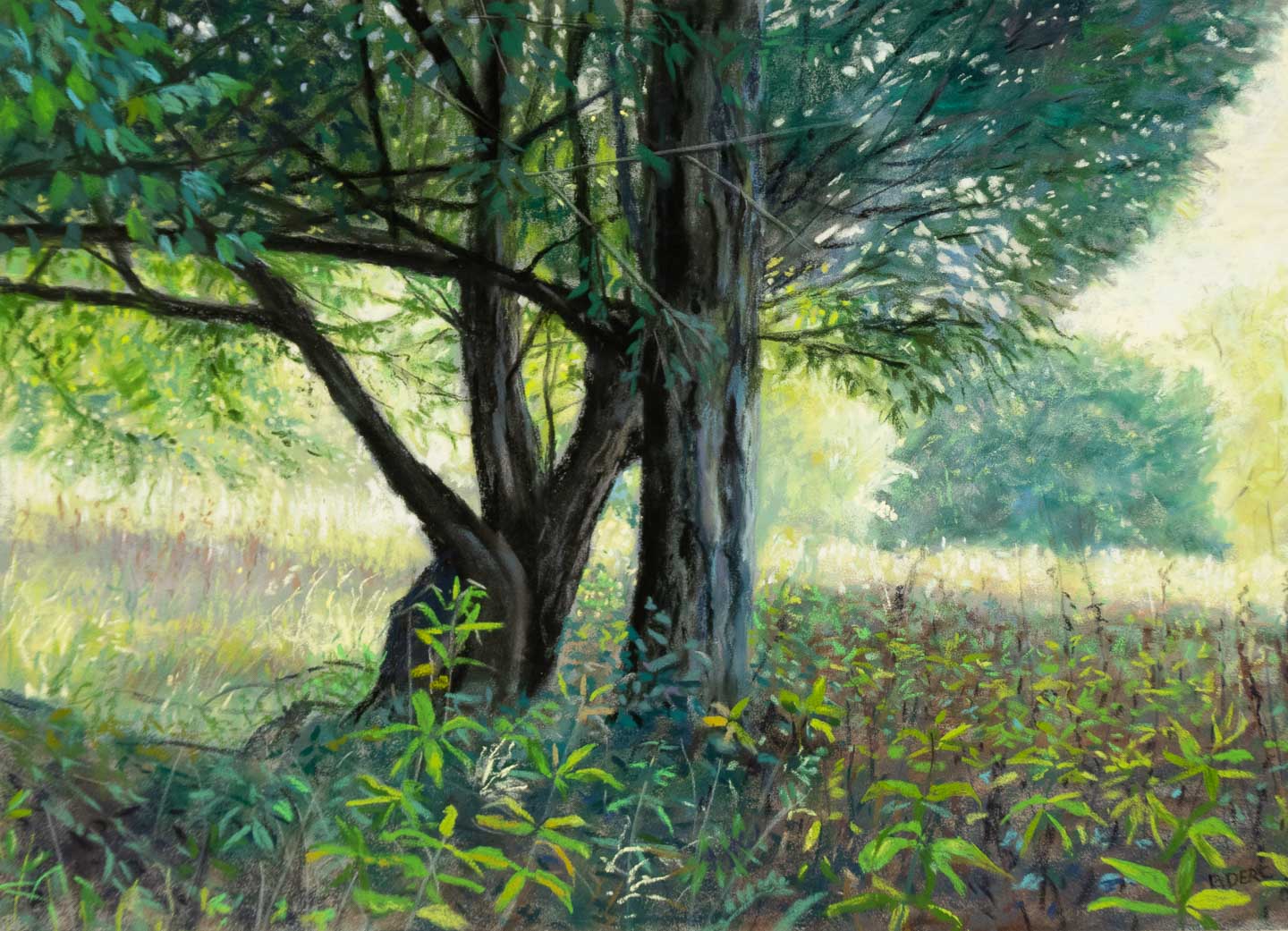 Painting of a shady spot under a tree